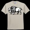 Heavy Cotton 100% Cotton T Shirt Thumbnail