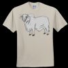 Heavy Cotton 100% Cotton T Shirt Thumbnail
